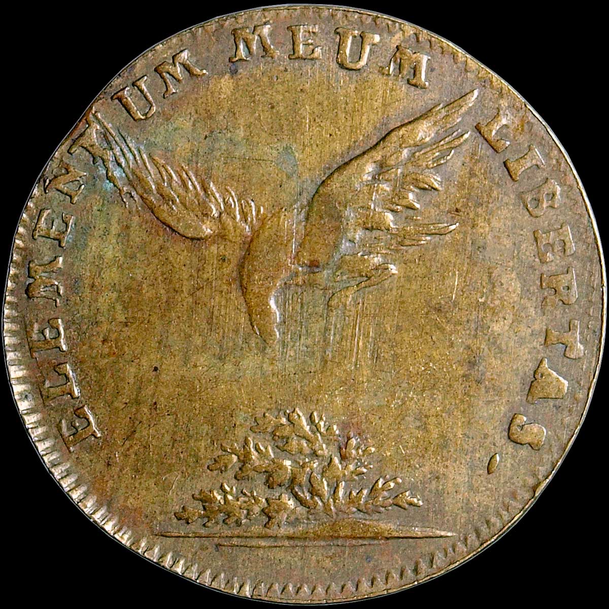 obverse